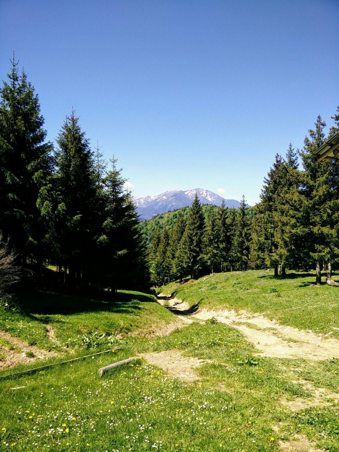 Muntii Maramuresului spre Muntii Rodnei