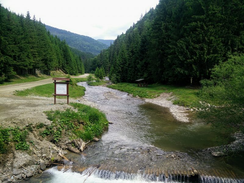 MTB Valea Mariei Mare Muntii Suhard