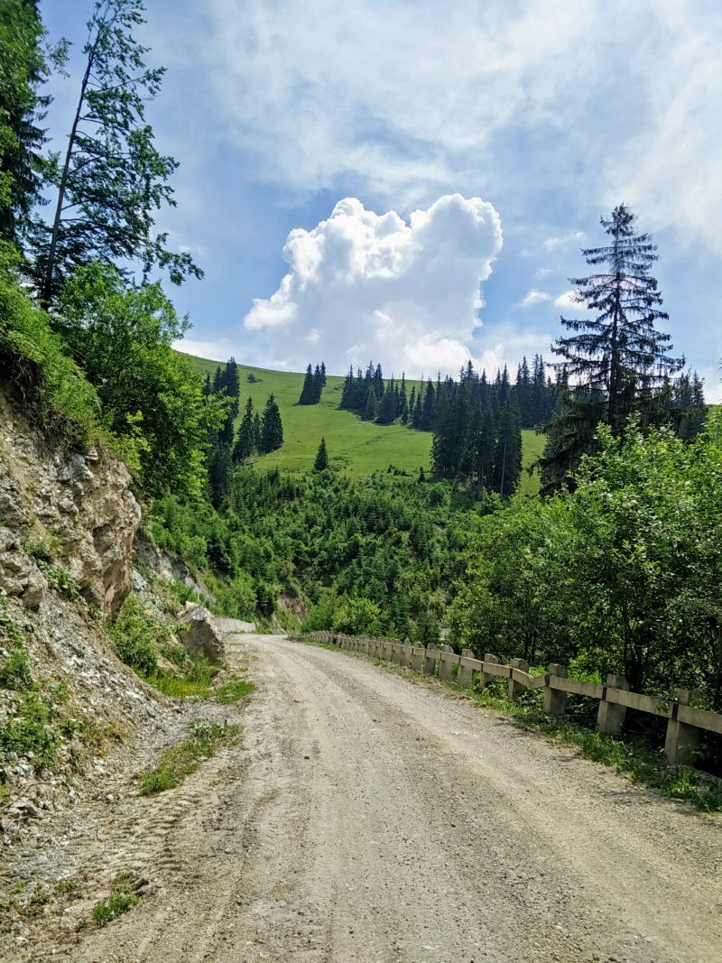 Mountain Bike in Muntii Suhard DN17D