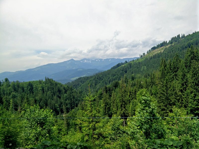 Vedere spre Muntii Rodnei