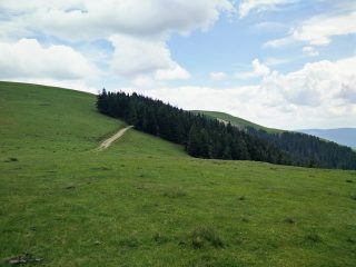 Downhill Muntii Suhard