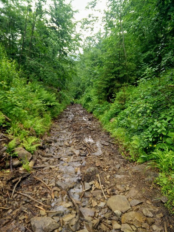 MTB Downhill Muntii Maramuresului