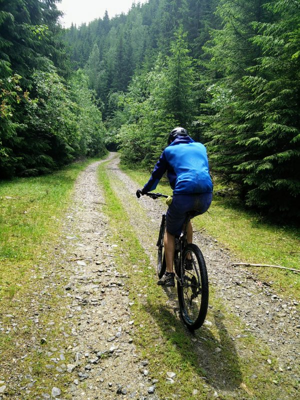 Forestier Muntii Maramuresului