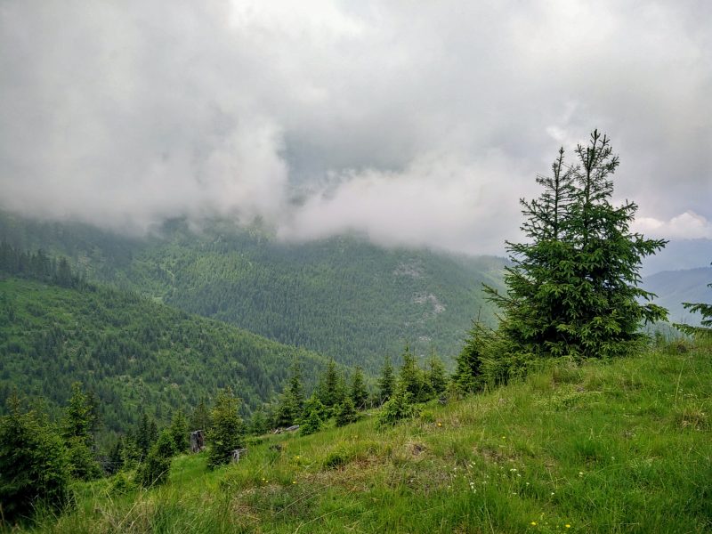 Muntii Maramuresului Vf Cearcanu