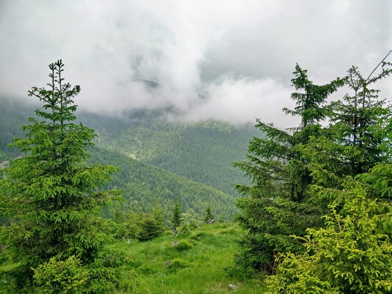 MTB Muntii Maramuresului