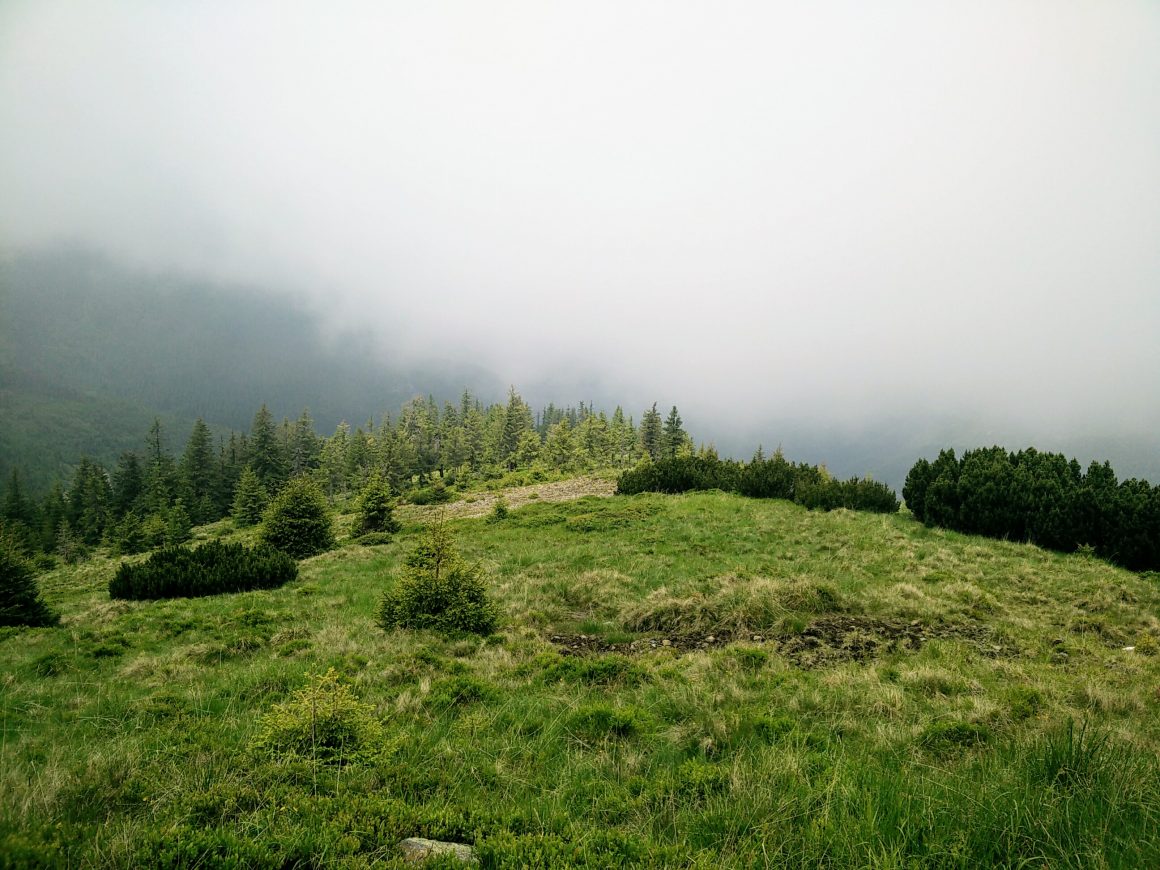 Sub Vf Cearcanu Mtii Maramuresului