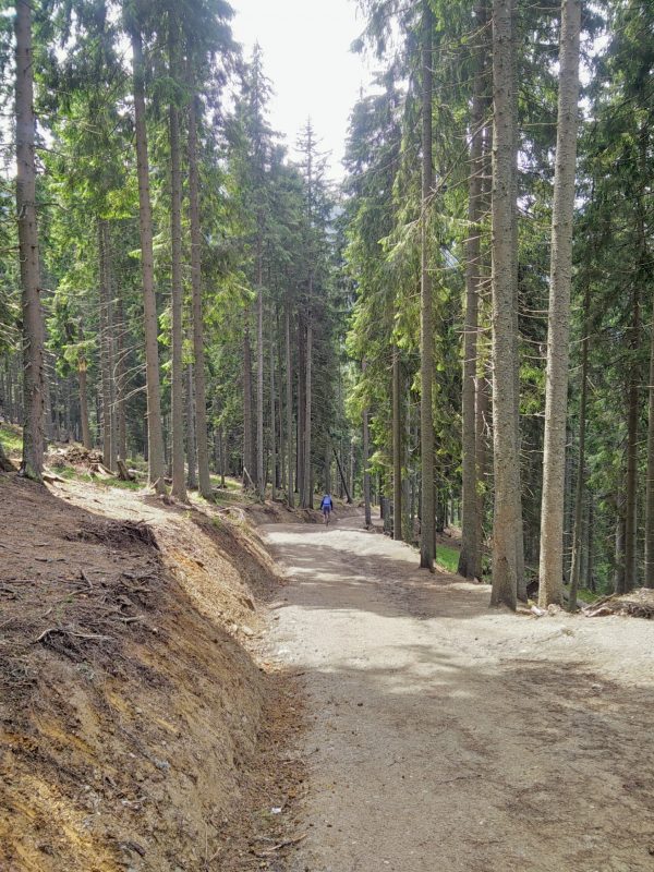 Saua Stiol spre Cascada Cailor