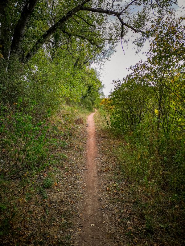 viarhone unpaved bike touring