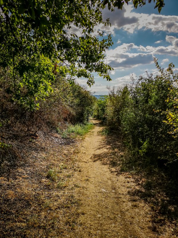 viarhona off-road cycle path