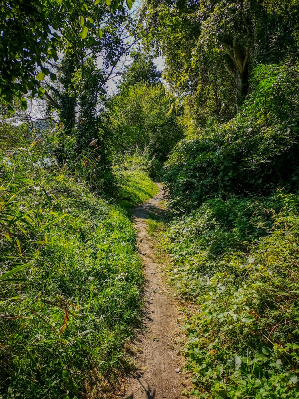 ViaRhona trail shortcut