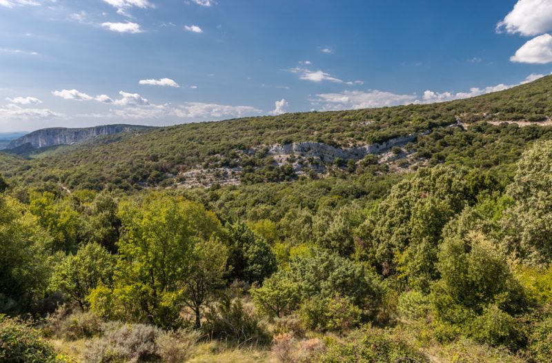Gorges de l'Ardèche landscape