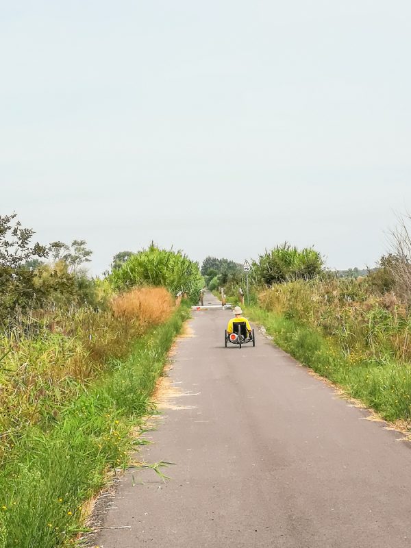 viarhona recumbent
