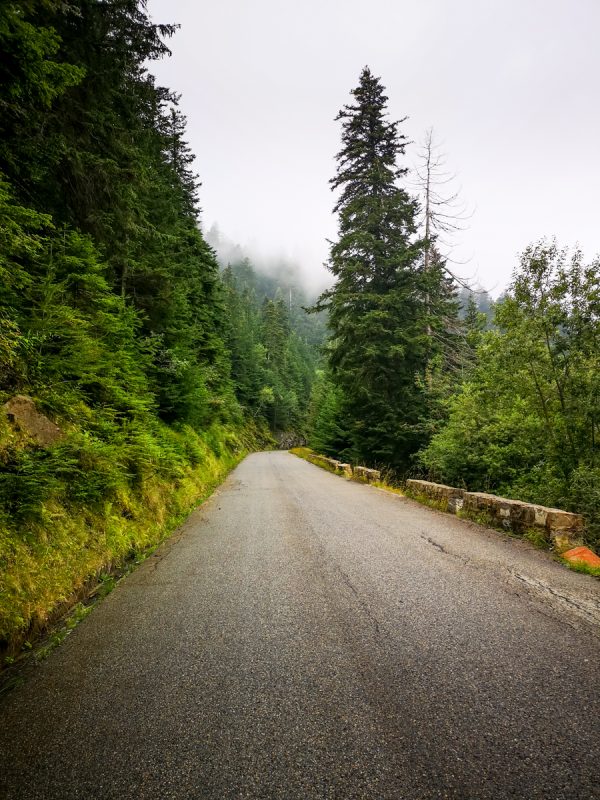 col de turini climb