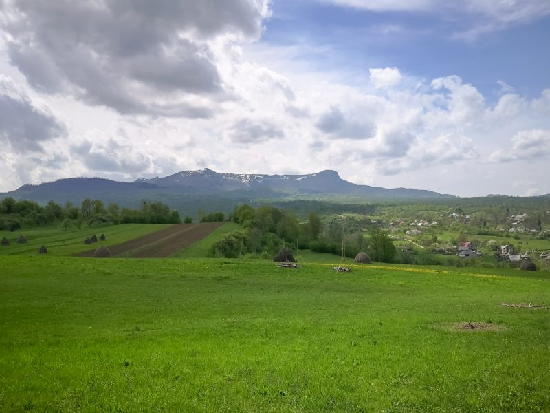 Breb Munții Gutâi