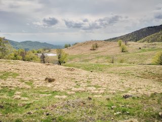 Poiana Boului, Maramures