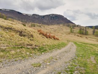 mtb maramures