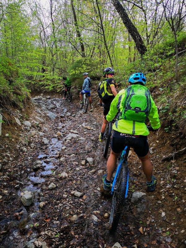 Breb MTB downhill