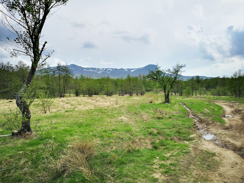Masivul Gutâi Breb