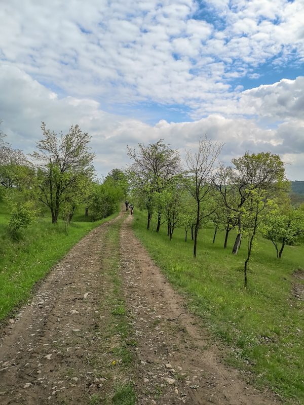 mtb roads maramures
