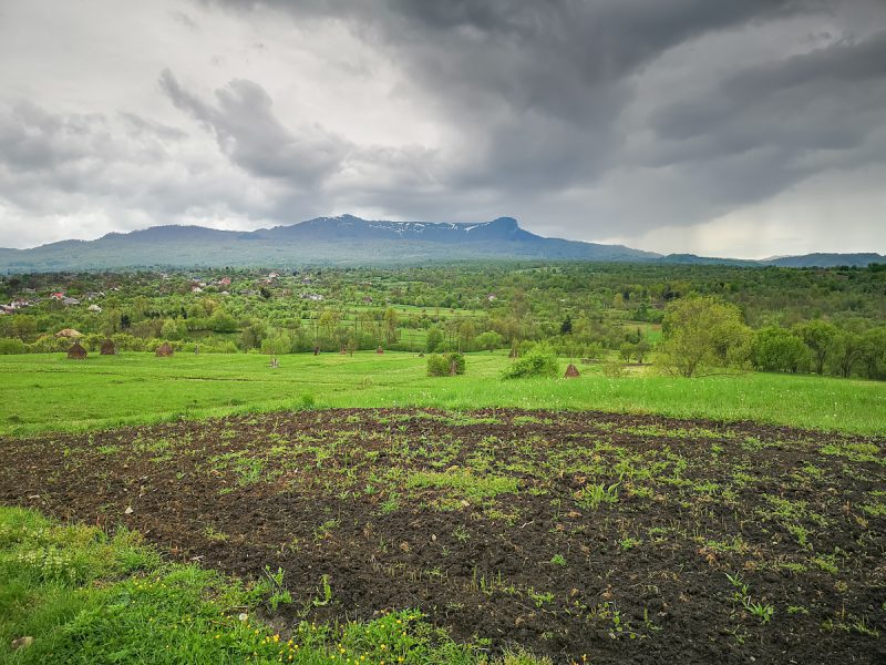 Masivul Gutai Creasta Cocosului