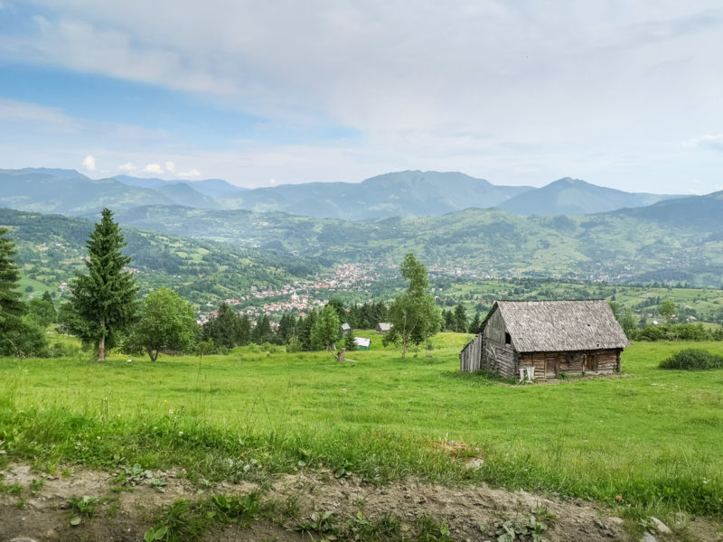 Borșa mountain bike