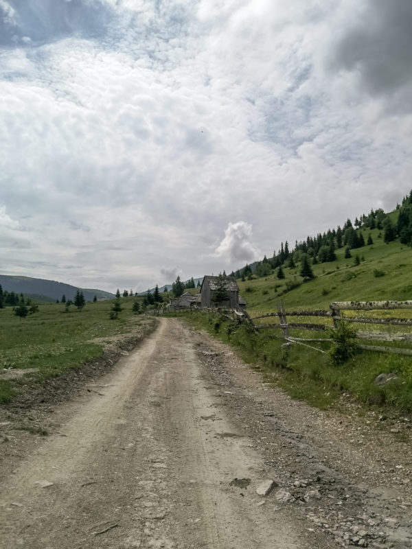puzdrele road