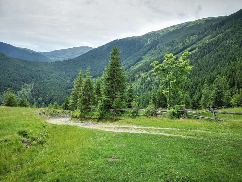 puzdrele mountain biking