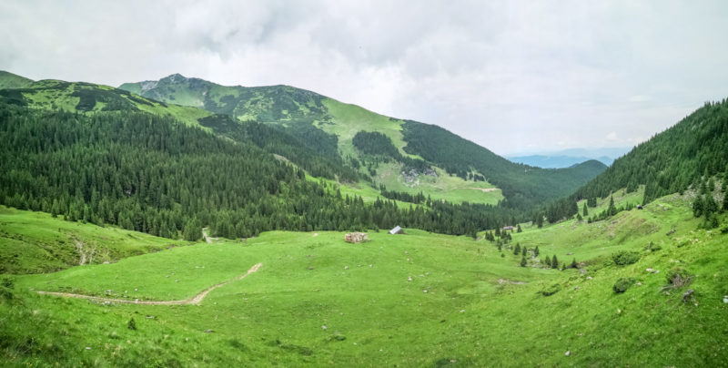 puzdrele view