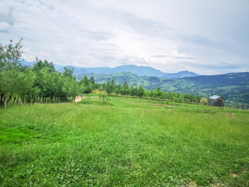 mountain biking borșa