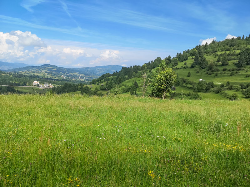 mountain biking manastirea moisei