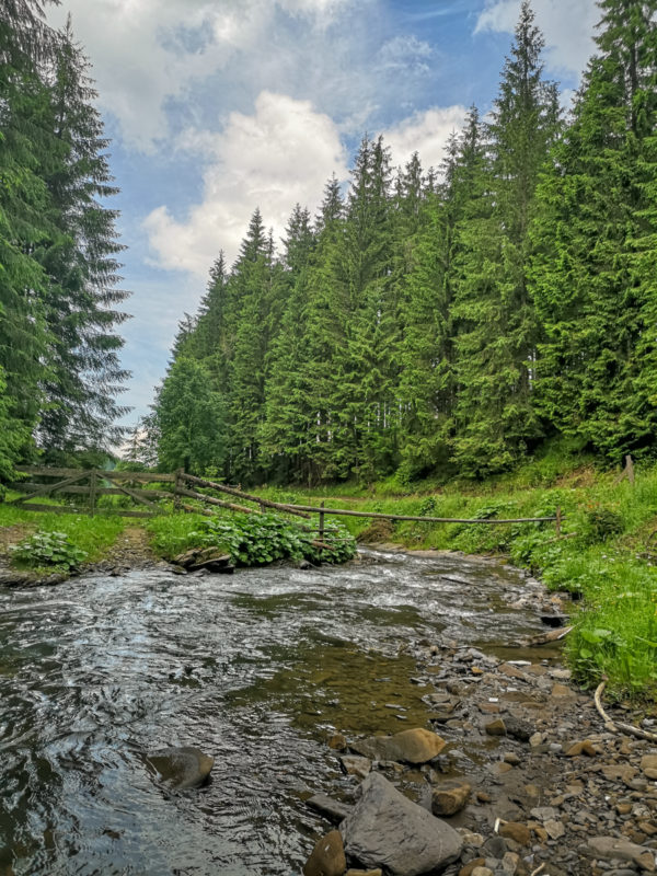 izbucul izei mtb ride