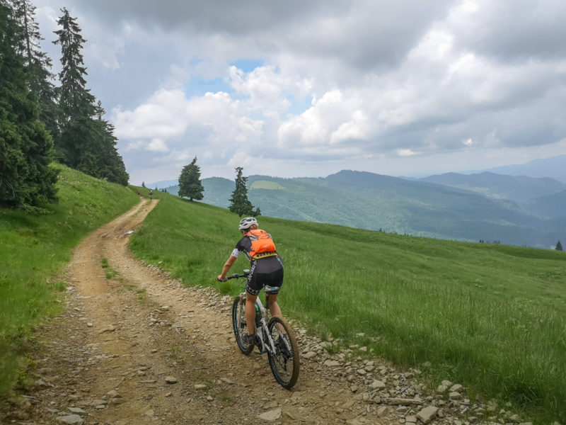 șaua bătrâna mtb
