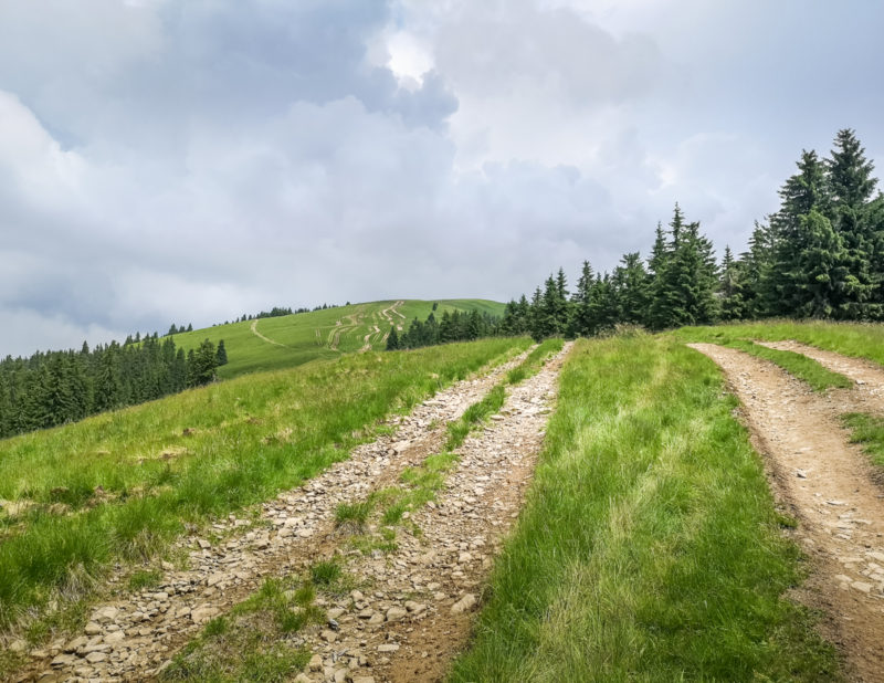 push bike to saua batrana