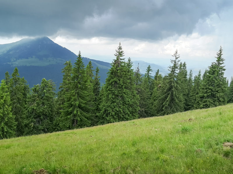 purple lines mtb camp day 2