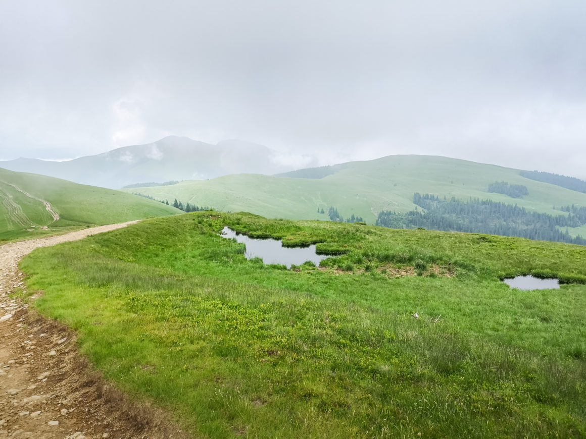 pietrosul rodnei mtb