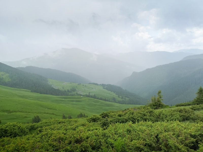 muntii rodnei mtb ploaie