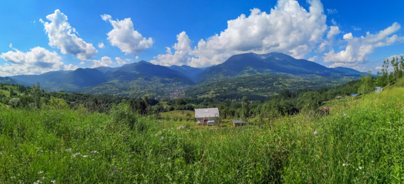 borsa mtb view