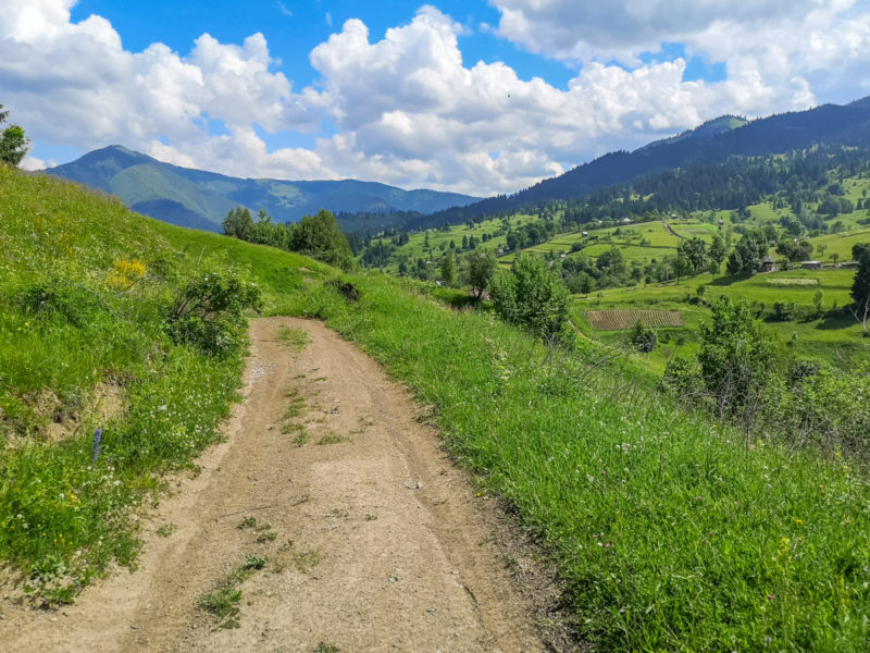 mtb baia borsa