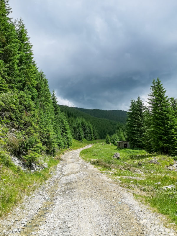 urcare tarnița bălăsânii