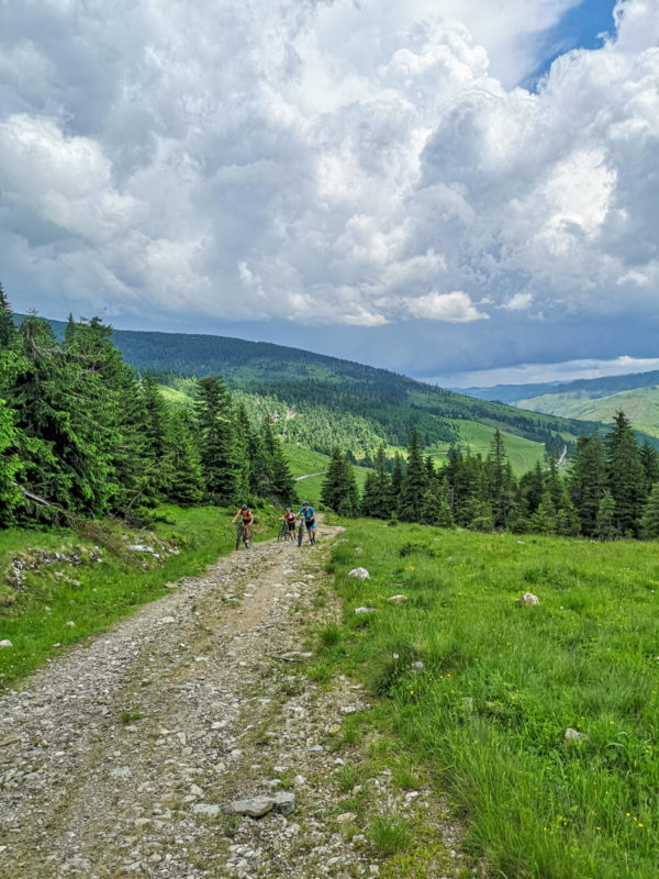 mtb tarnita balasanii