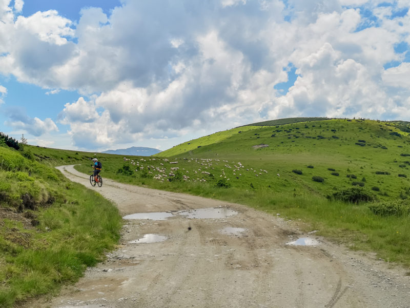 mtb pasul prislop maramures