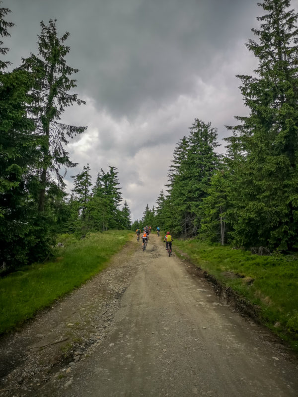saua stiol climb