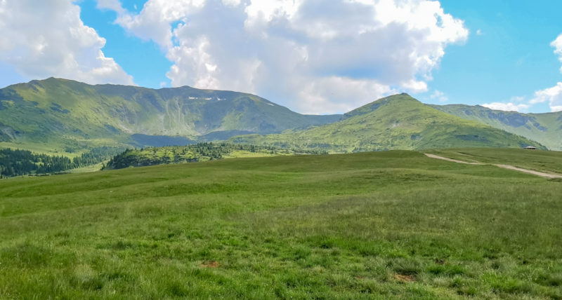saua stiol mtb