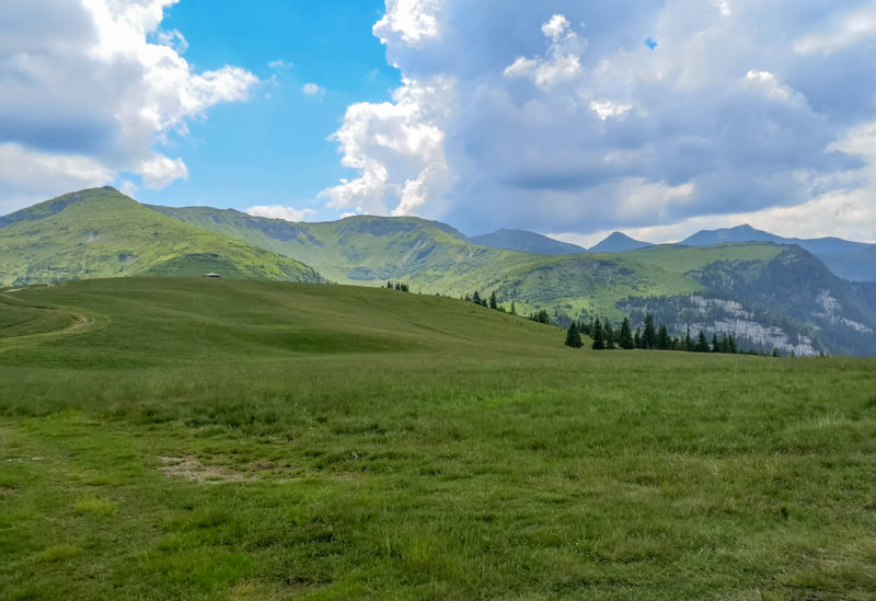 mtb camp șaua știol