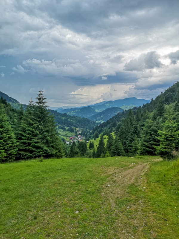 complex borșa