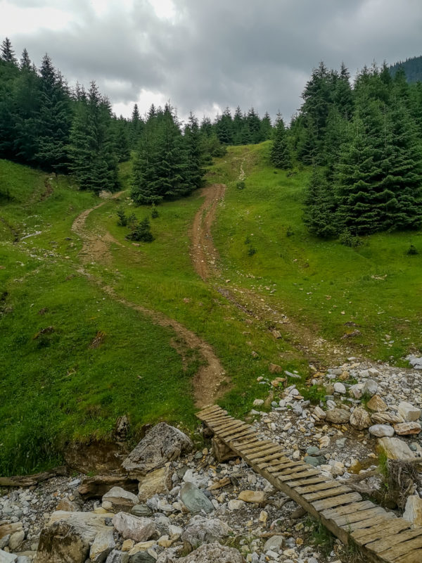 cascada cailor mtb downhill