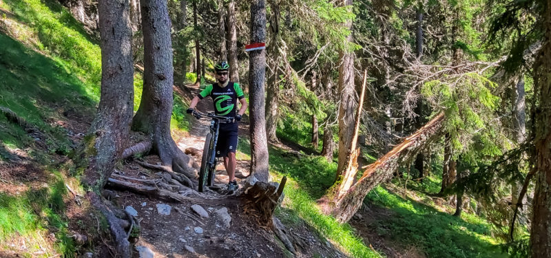 mtb camp Wurzel Trail