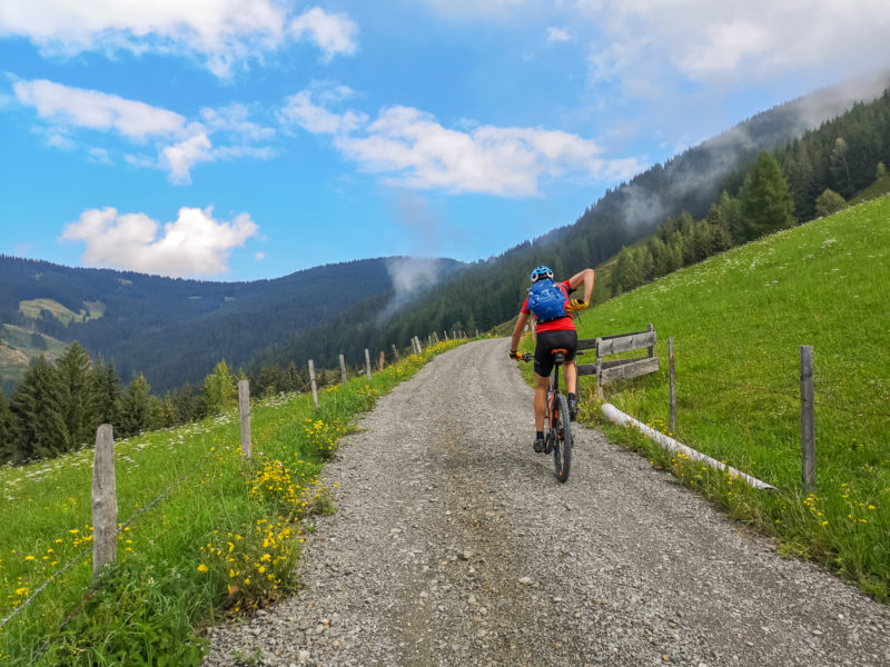 viehhofen mtb