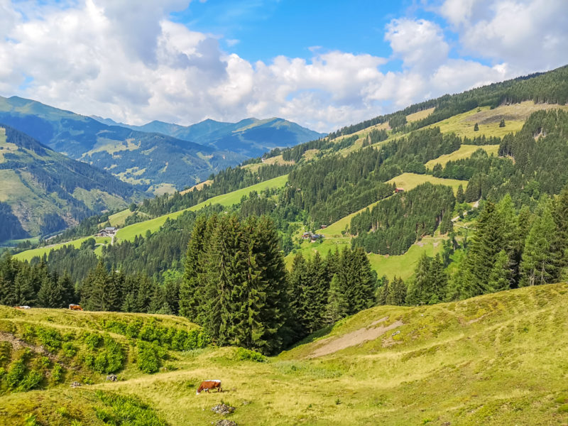 rock the alps mtb camp