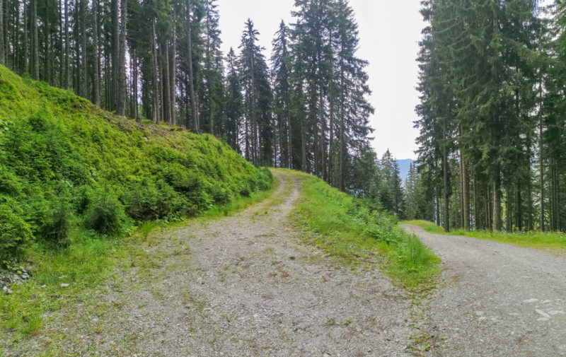mtb austria forest road